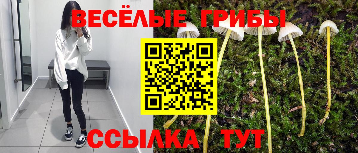 Галлюциногенные грибы мухоморы Серов
