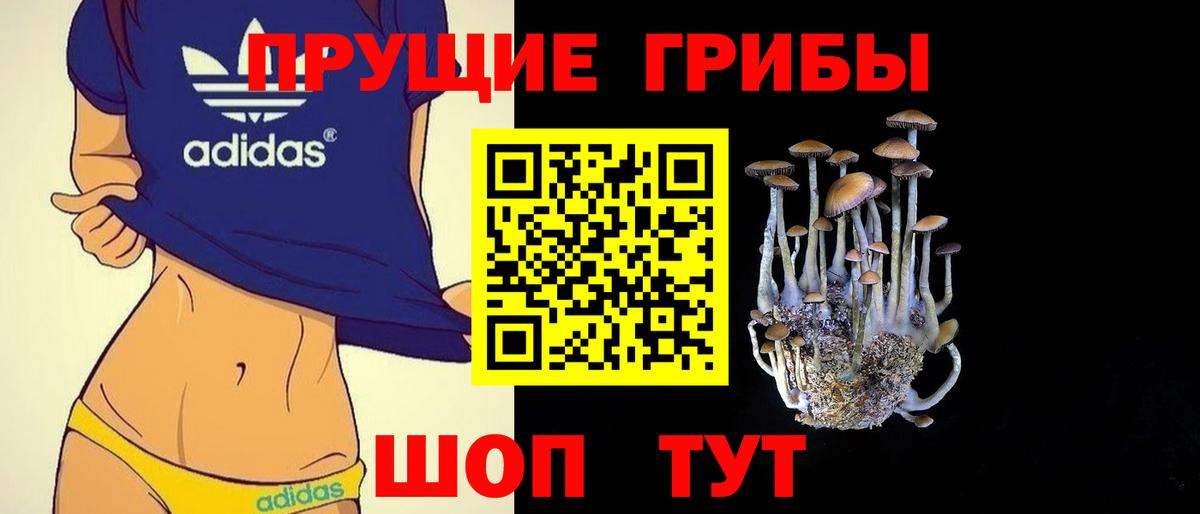 Галлюциногенные грибы MAGIC MUSHROOMS  Вход с VPN  Серов 